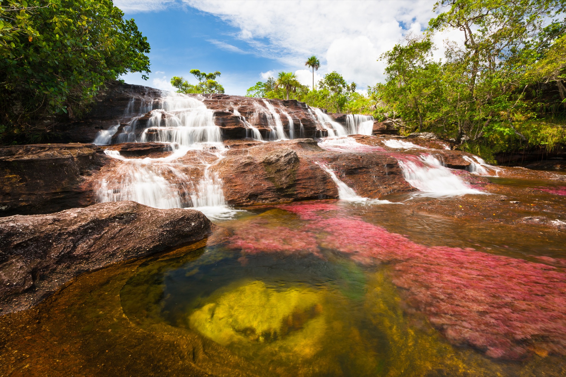 El "arco iris líquido" de Colombia pone en una impresionante exhibición natural - 7