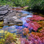 El "arco iris líquido" de Colombia pone en una impresionante exhibición natural