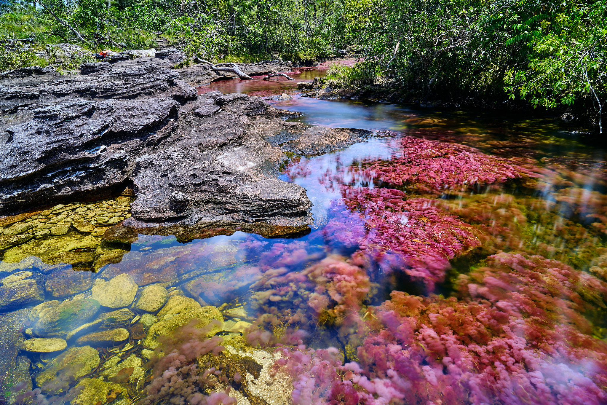 El "arco iris líquido" de Colombia pone en una impresionante exhibición natural - 3