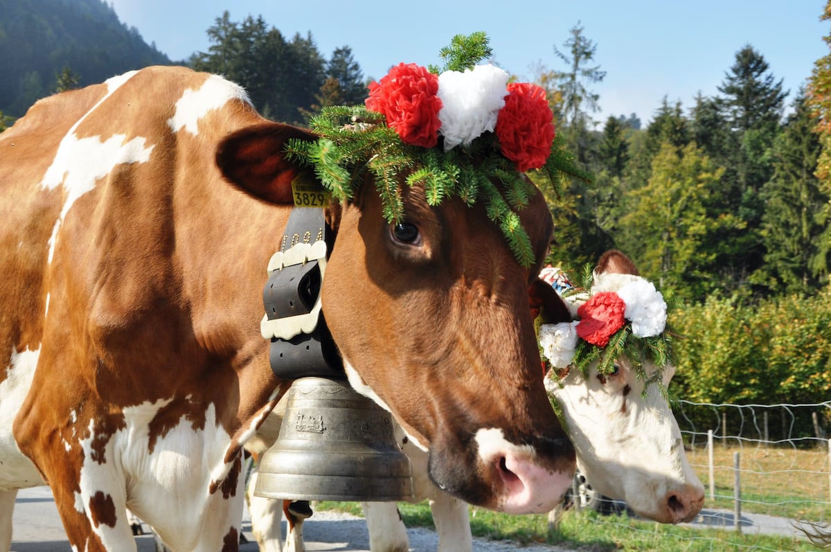 Razones increíbles para visitar Appenzell, Suiza - 13