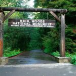 Cómo pasar un día perfecto en el Monumento Nacional Muir Woods
