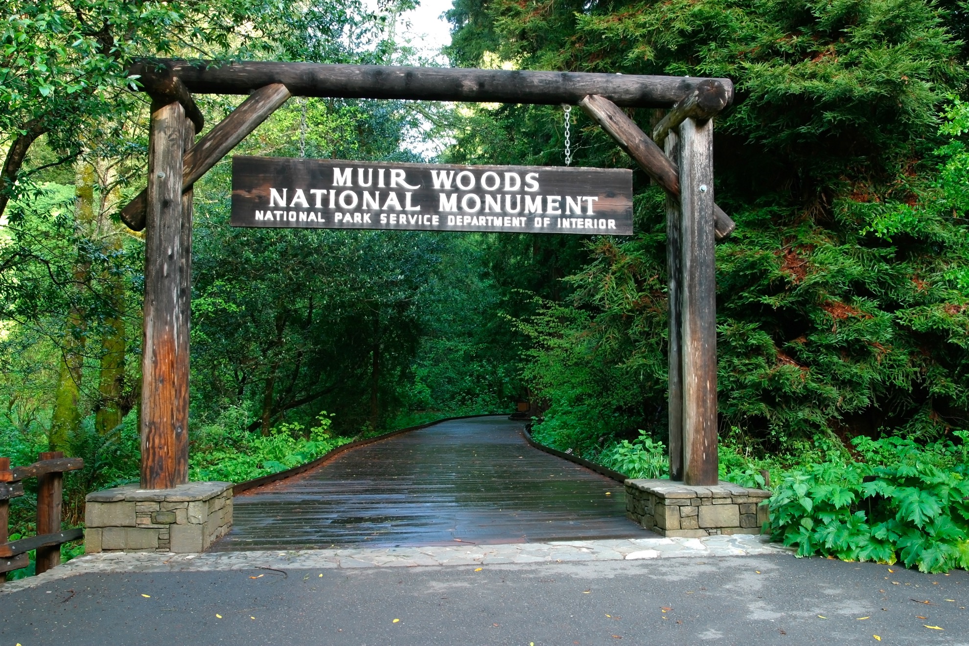 Cómo pasar un día perfecto en el Monumento Nacional Muir Woods - 61