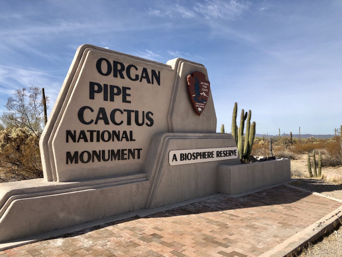 8 Experiencias fantásticas en Organ Pipe Cactus National Monument - 11