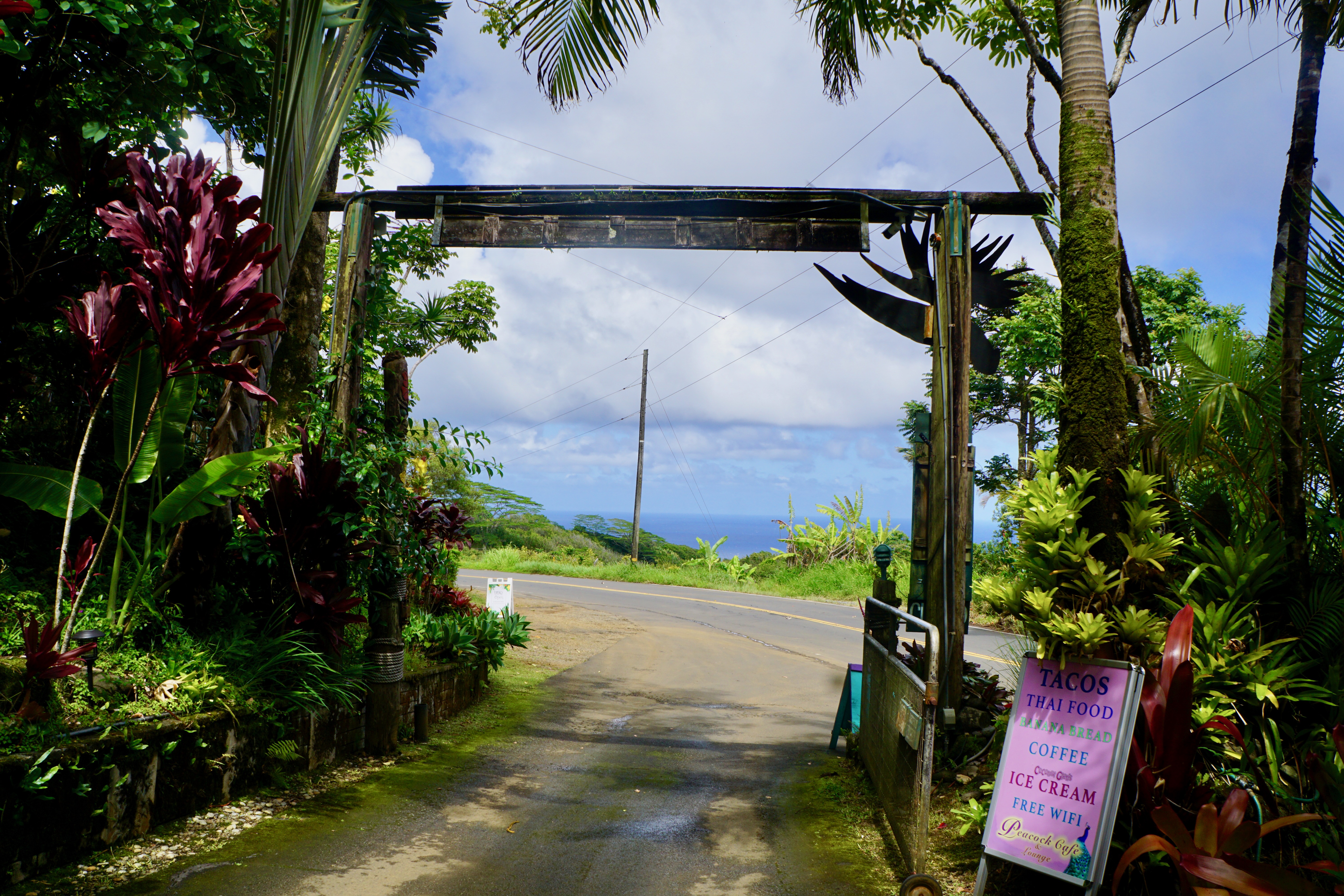 8 cosas que debe saber antes de conducir el camino de Maui a Hana - 11