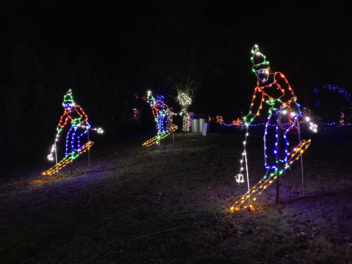15 increíbles exhibiciones de luz navideña en Wisconsin - 9