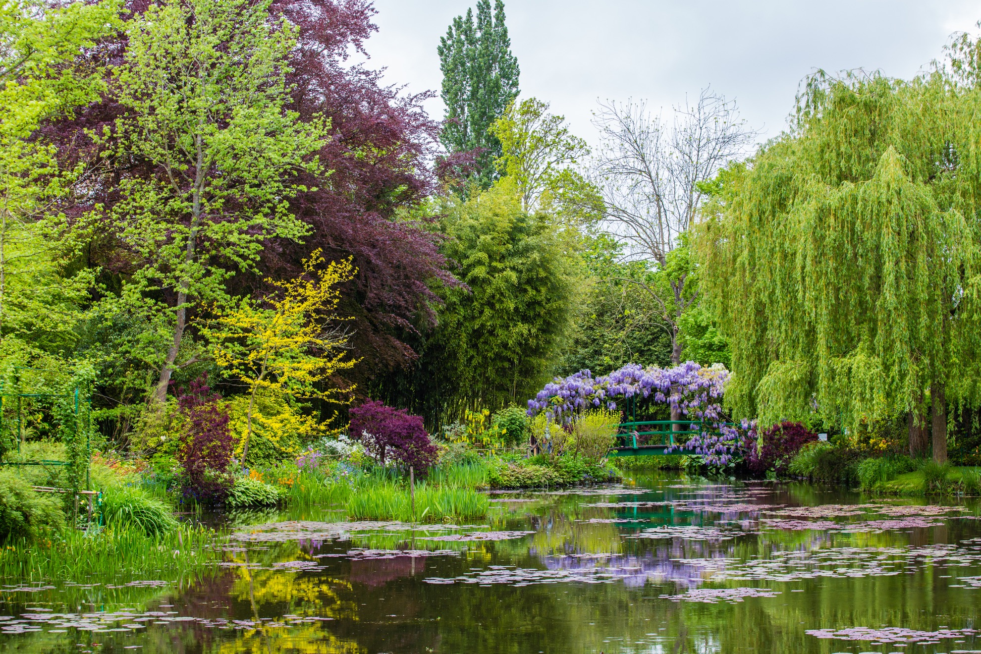 Cómo visitar los jardines de Monet en Giverny - 17