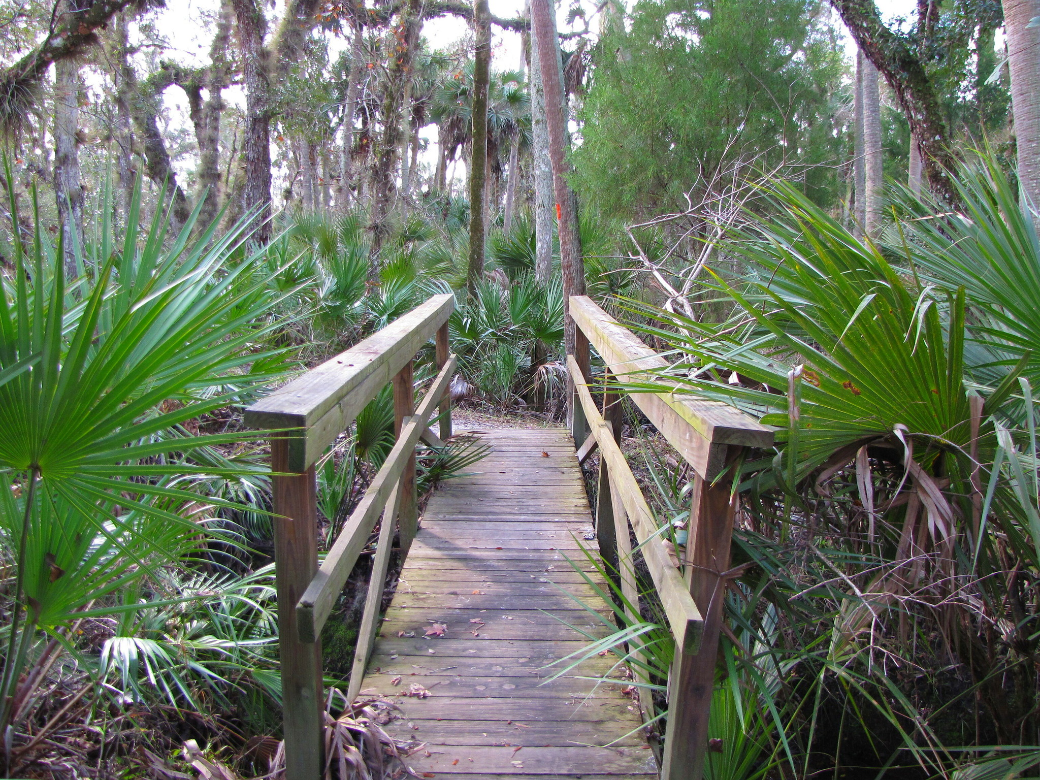 9 mejores caminatas en la hermosa Florida - 17