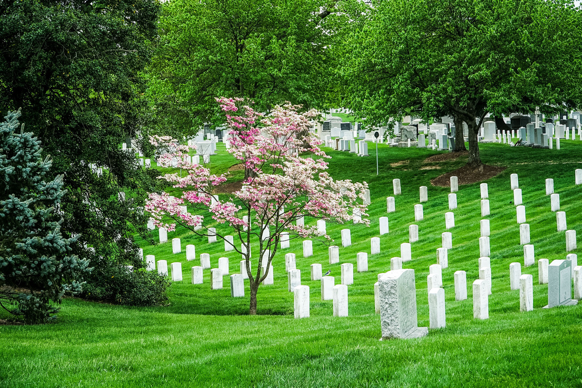 11 cosas que debe saber antes de visitar el cementerio nacional de Arlington - 17