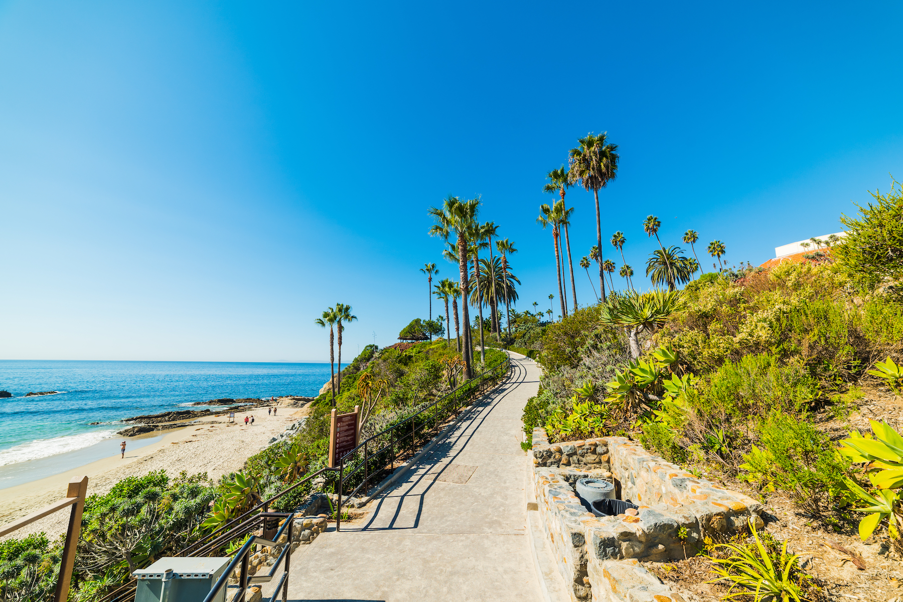 8 cosas que hacer en un día perfecto en Laguna Beach - 9