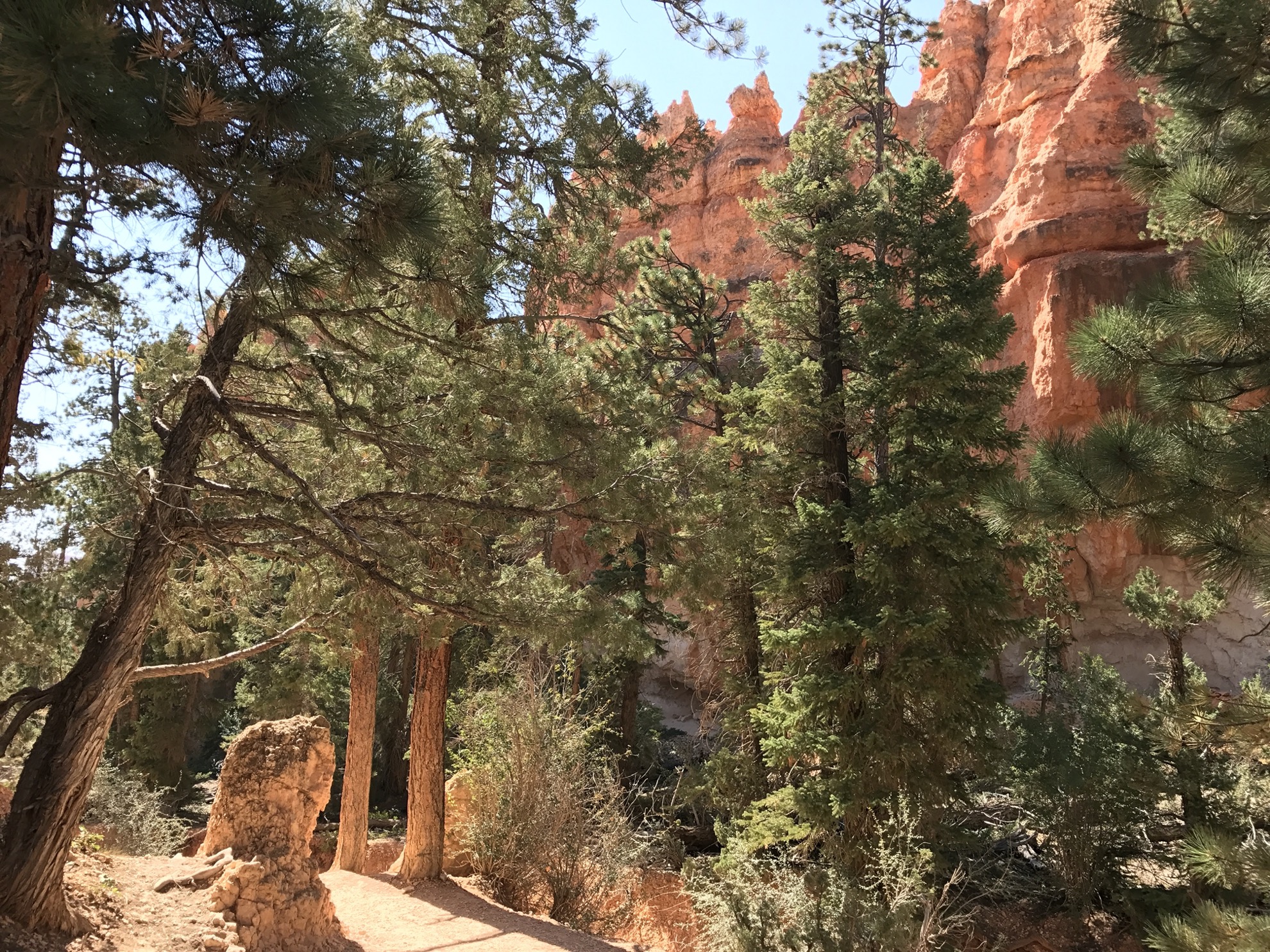Las mejores caminatas en el Parque Nacional Bryce Canyon - 17