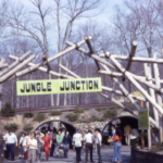El parque de animales abandonado de Warner Brothers: la historia del hábitat de la jungla