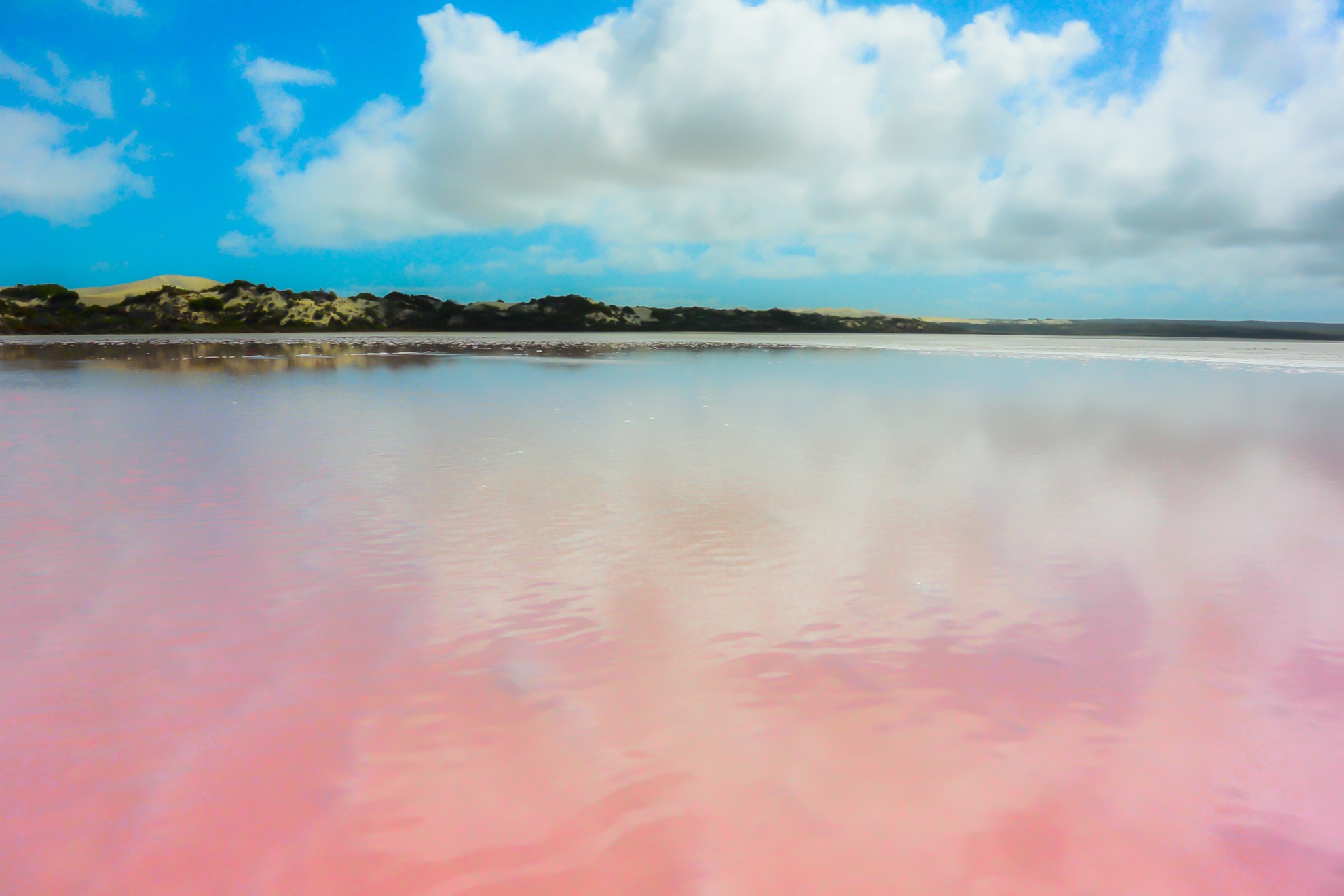 Cómo ver el increíble lago Pink Bubblegum Pink de Australia - 9