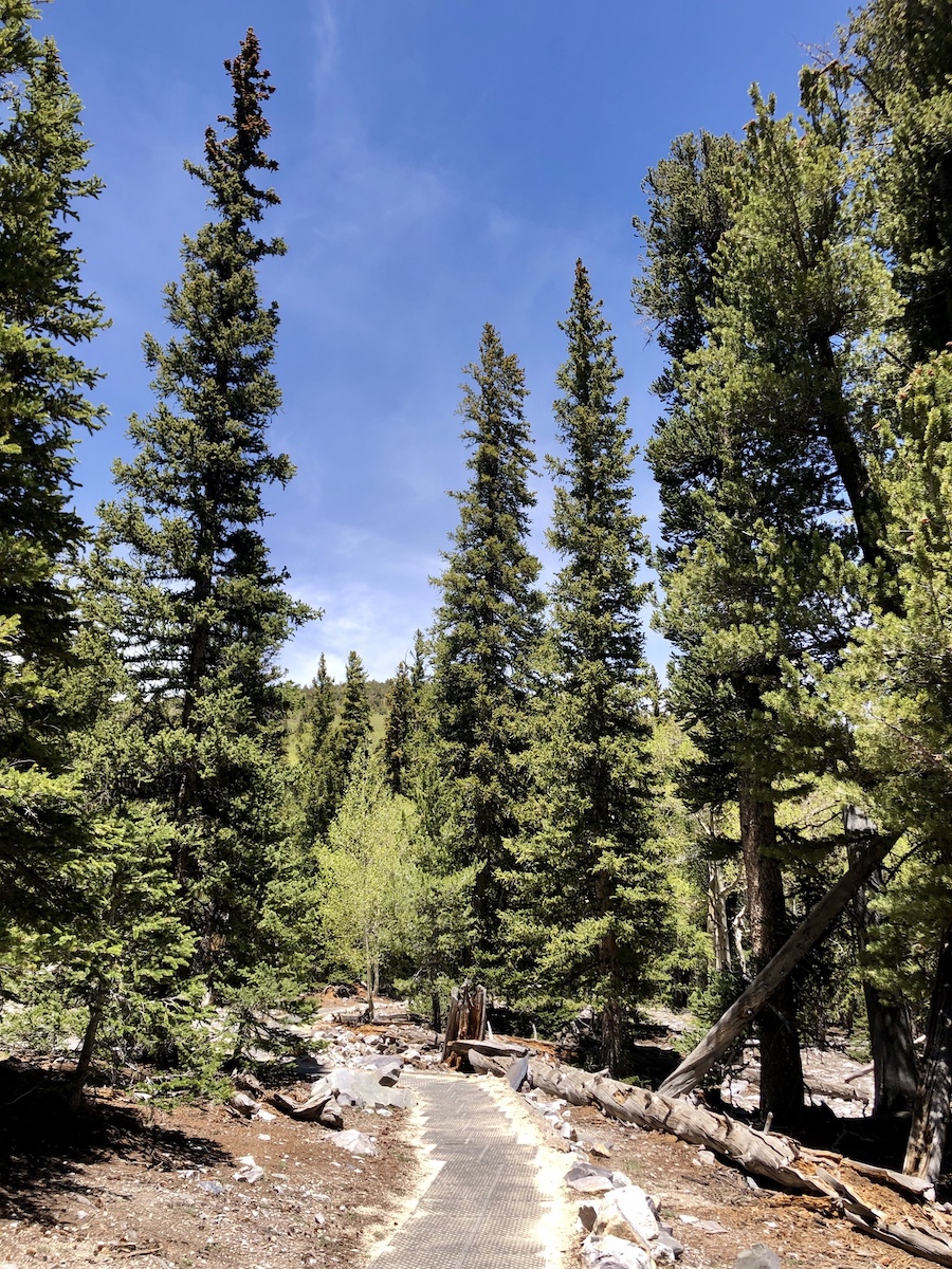 7 hermosas caminatas en el Parque Nacional Great Basin - 7