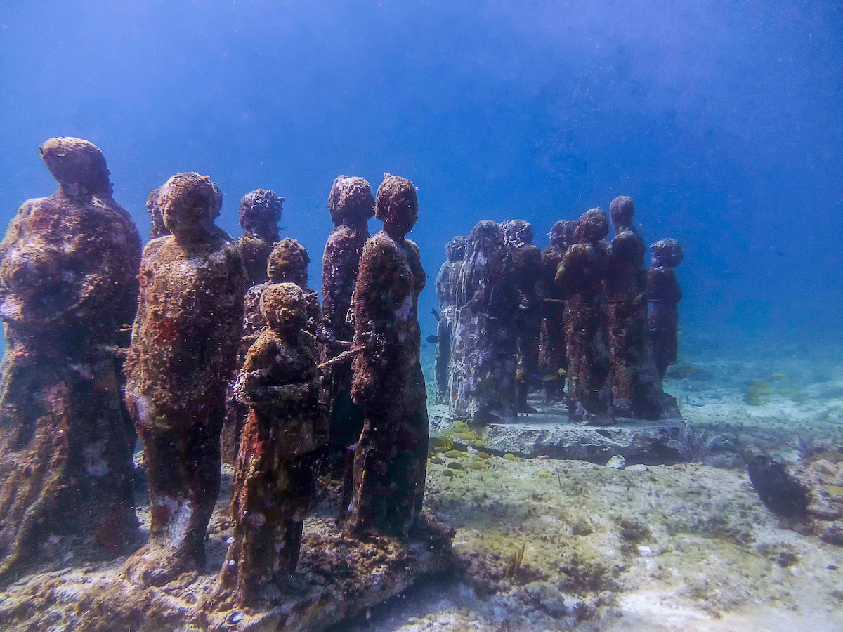 8 Experiencias fantásticas sobre Isla Mujeres para los amantes de la naturaleza - 17