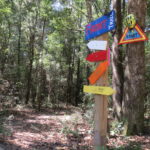 8 mejores senderos para ciclismo de montaña en Alabama