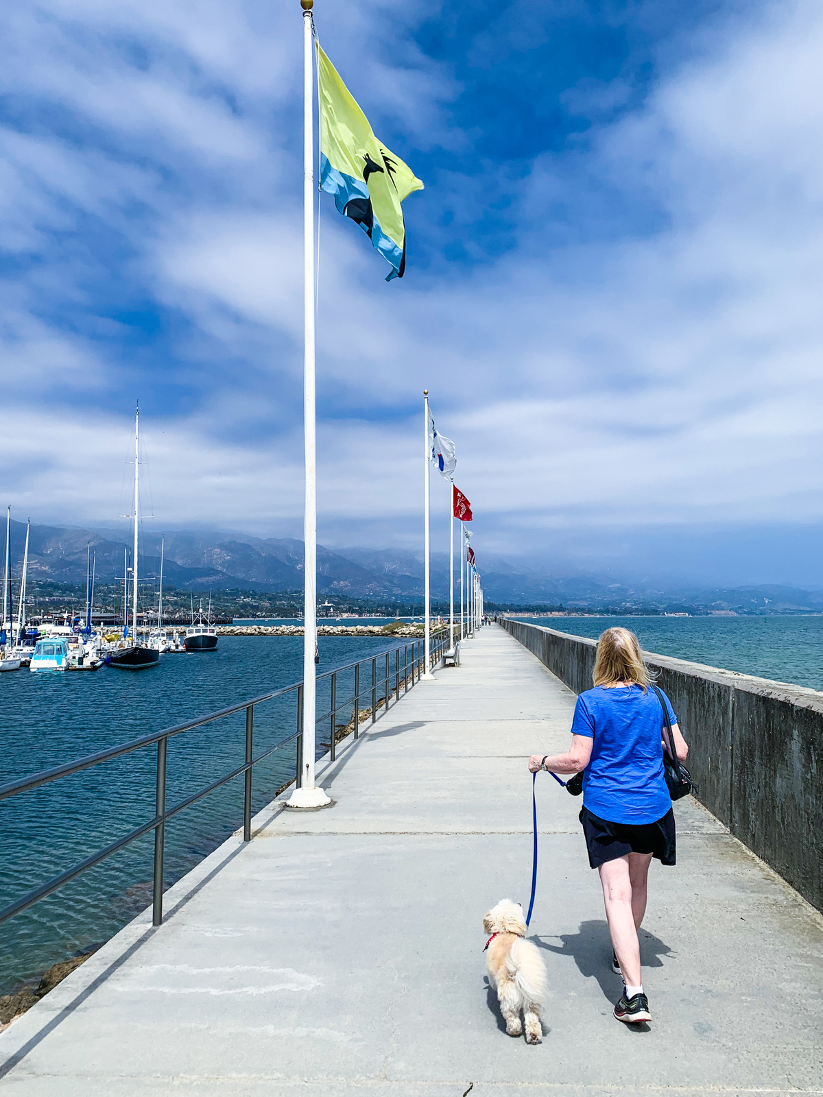 Las mejores experiencias amigables para perros en Santa Bárbara - 1