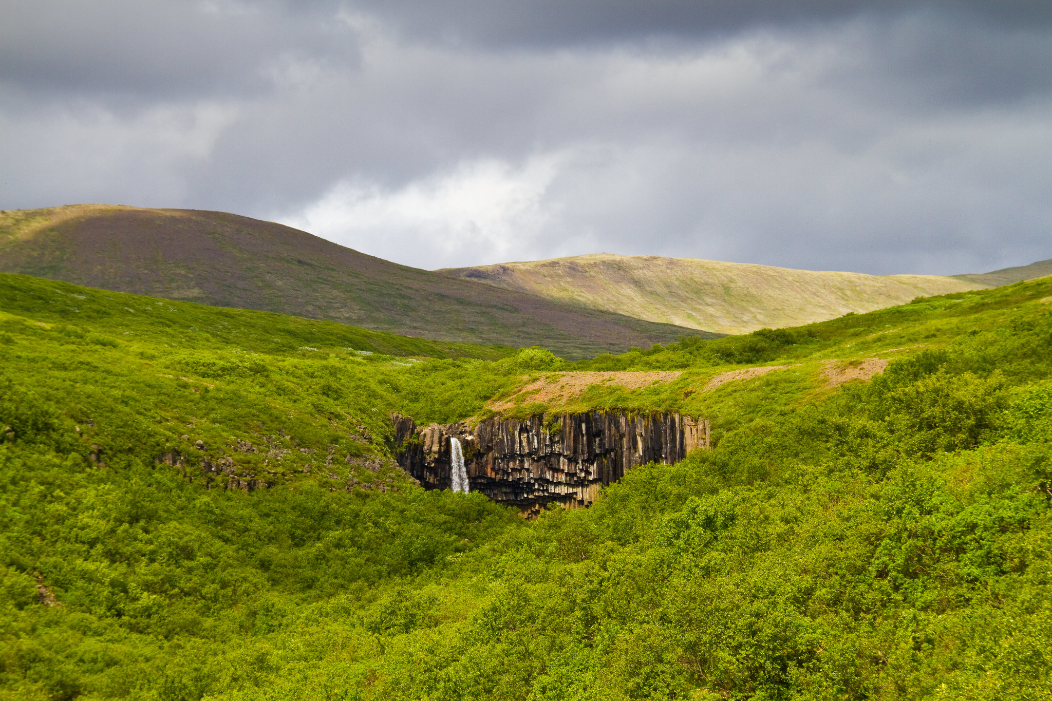 La cascada de Svartifoss de Islandia se establece en un contexto de columnas de lava oscura - 13