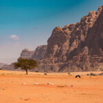 7 razones para visitar el ron Wadi Spectacular