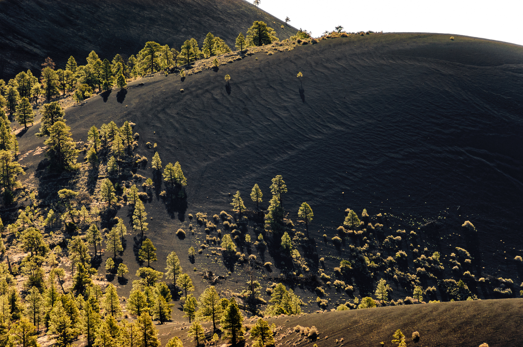 10 razones para visitar el Monumento Nacional del Volcán Sunset Crater del Cráter - 7
