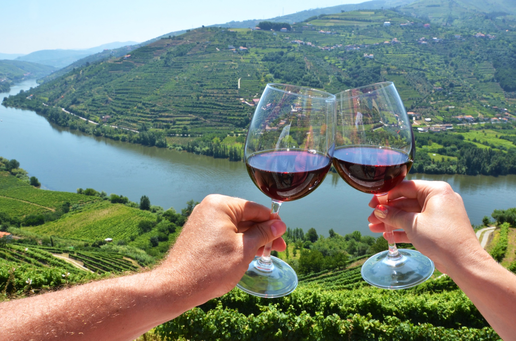 Degustación de vinos en Porto: 11 cosas que debe saber antes de ir - 9