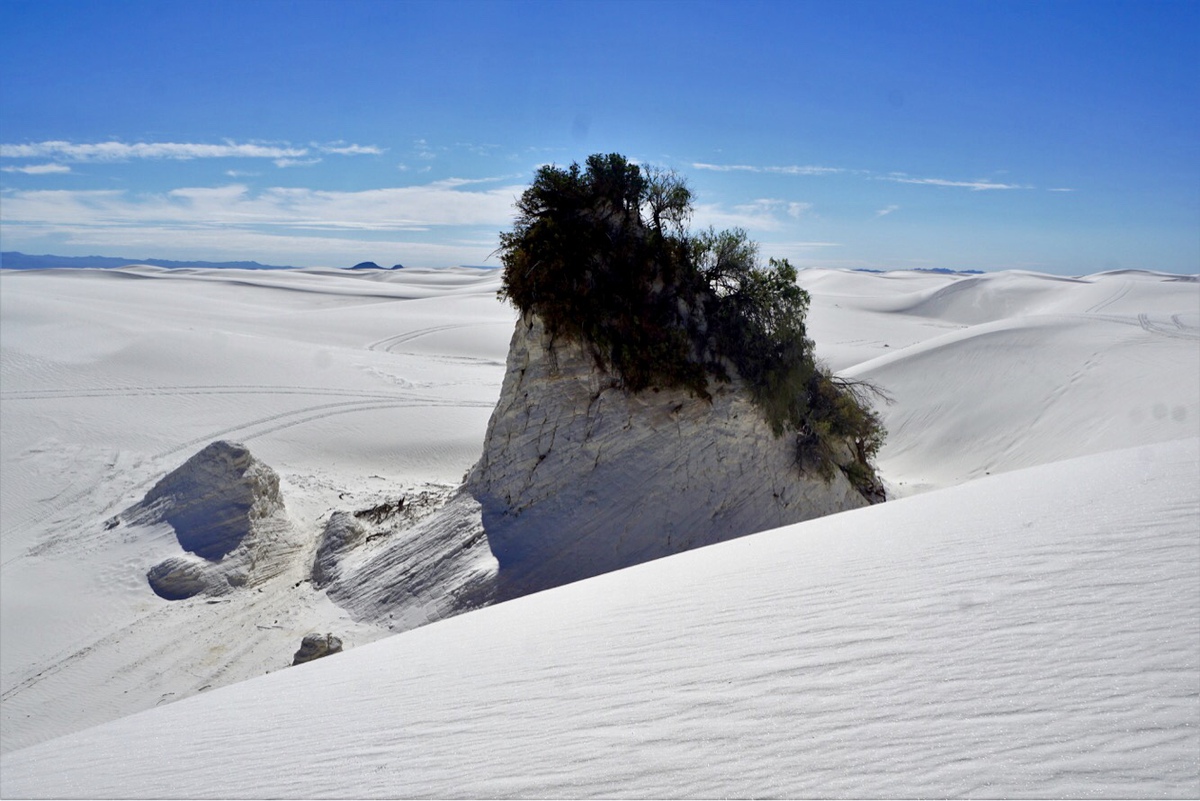 7 cosas que debe saber sobre el Parque Nacional White Sands - 11