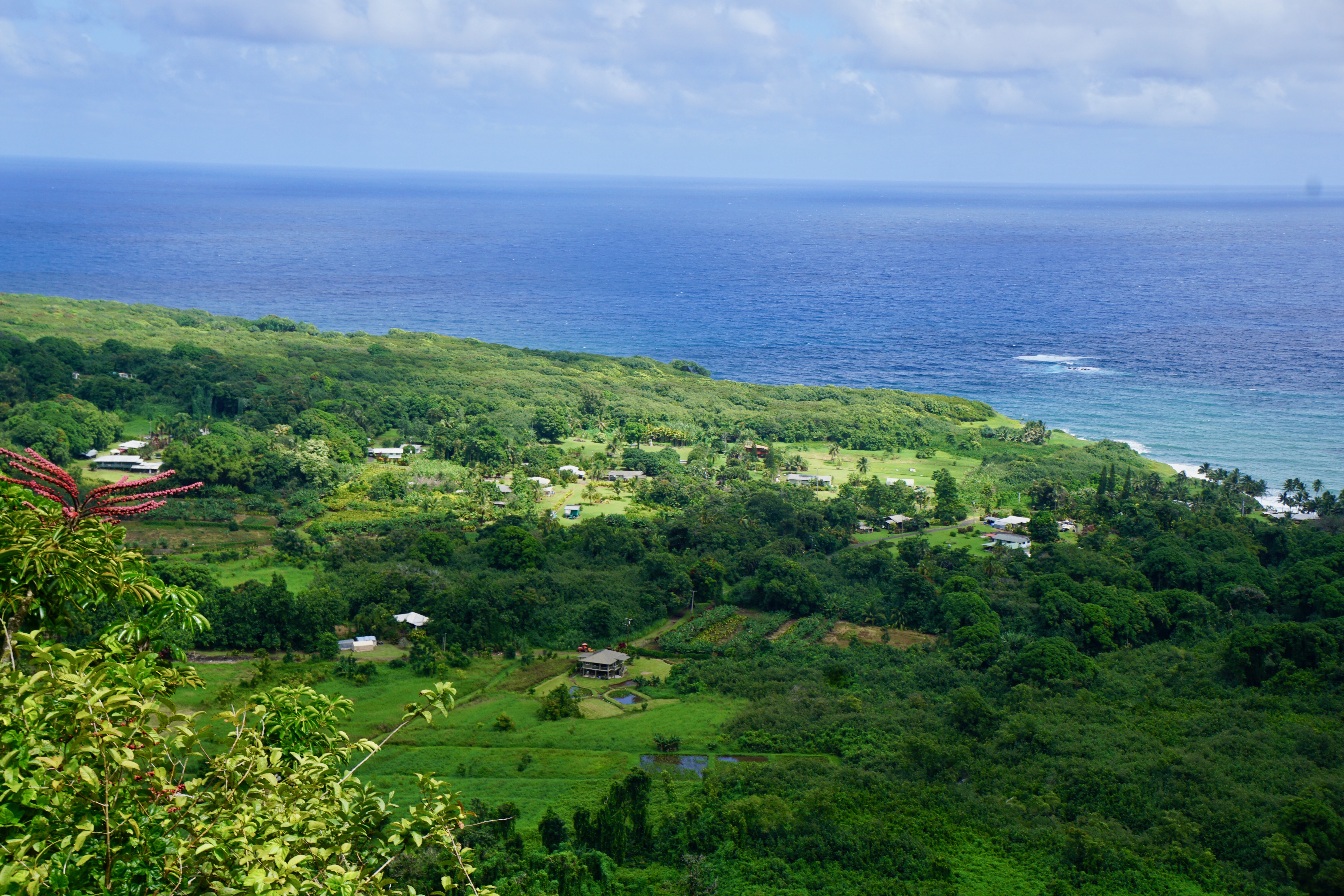 8 cosas que debe saber antes de conducir el camino de Maui a Hana - 105