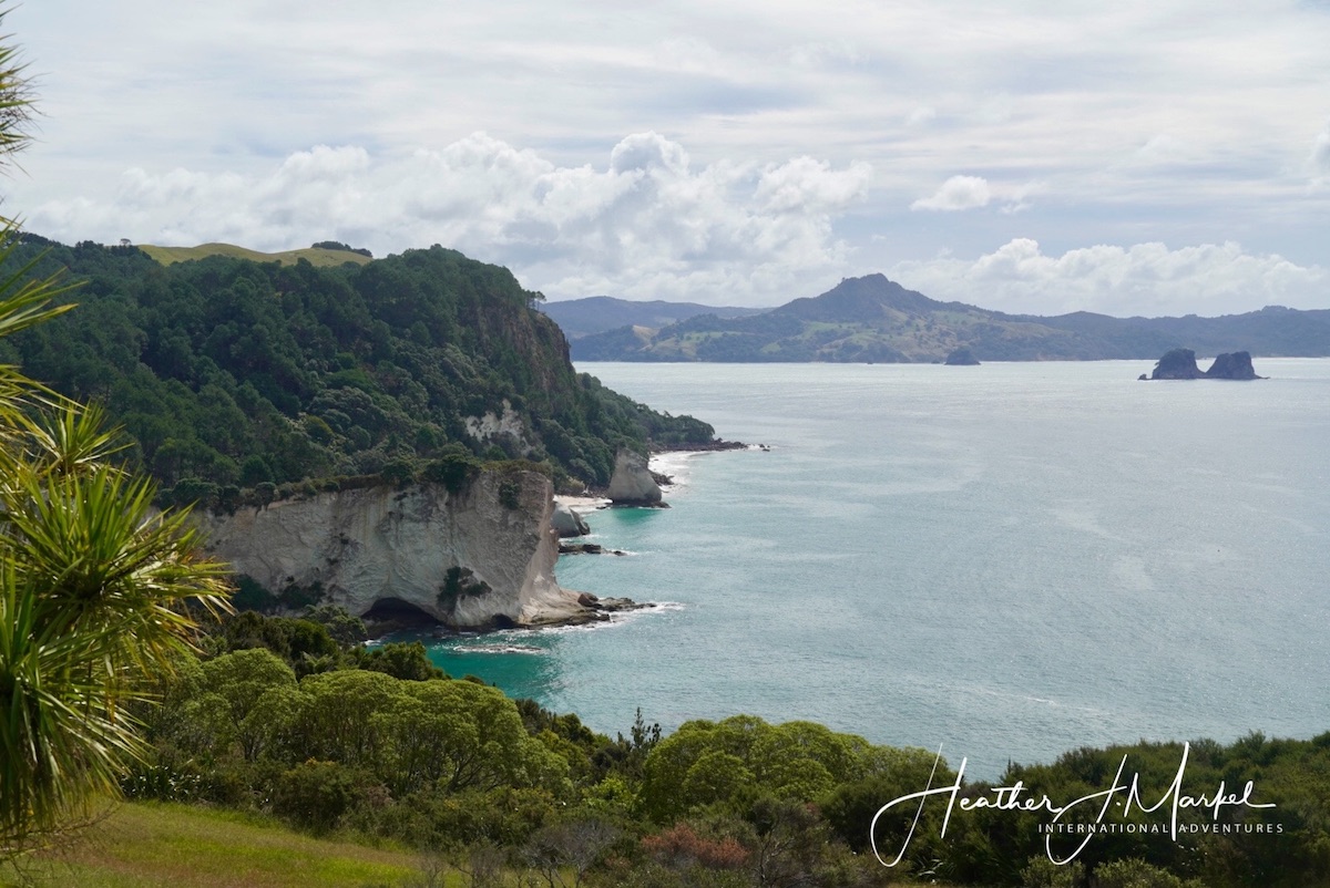 8 gemas de la isla norte de Nueva Zelanda - 11