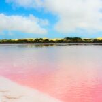 Cómo ver el increíble lago Pink Bubblegum Pink de Australia