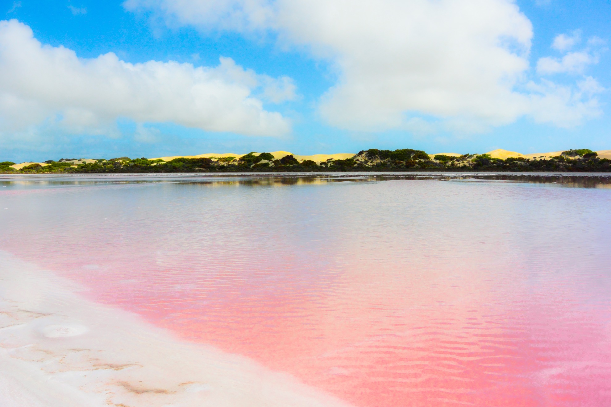 Cómo ver el increíble lago Pink Bubblegum Pink de Australia - 161