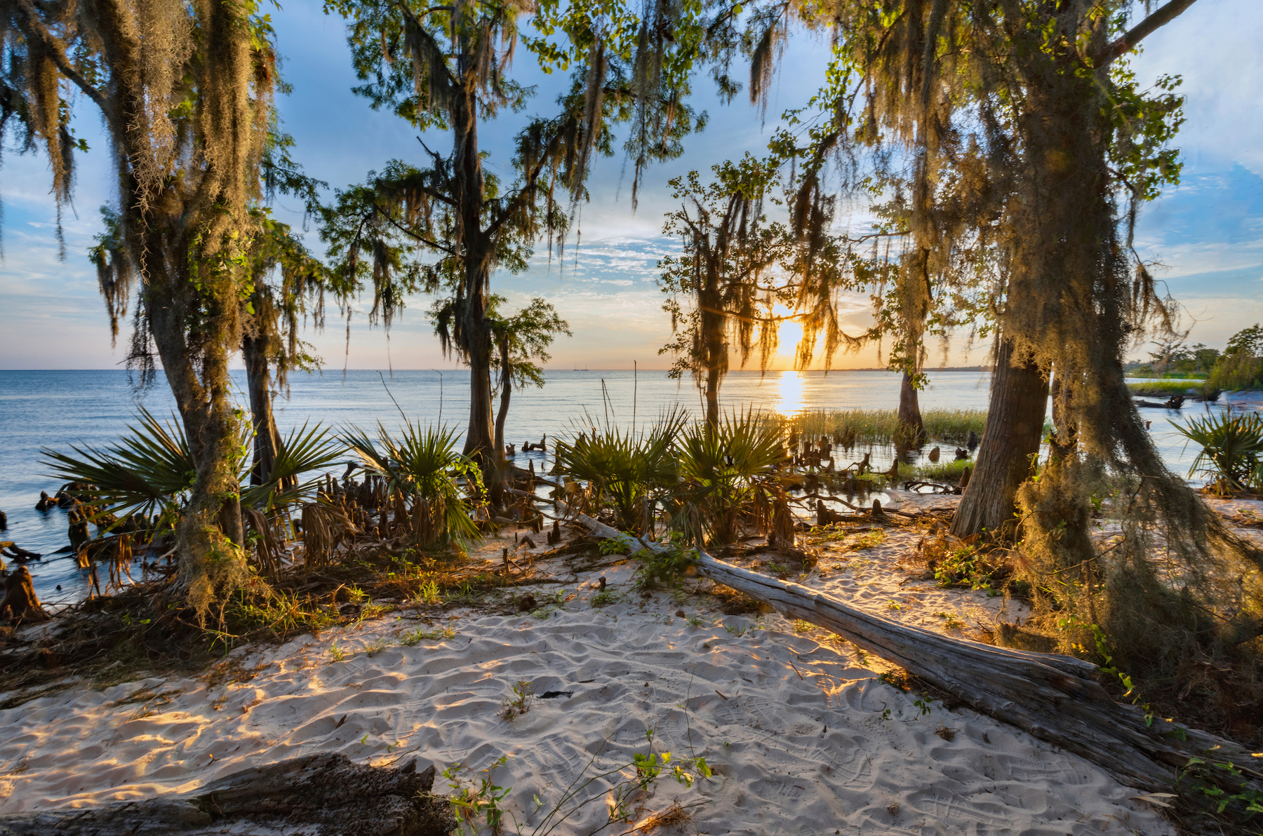 10 mejores caminatas en la hermosa Louisiana - 13