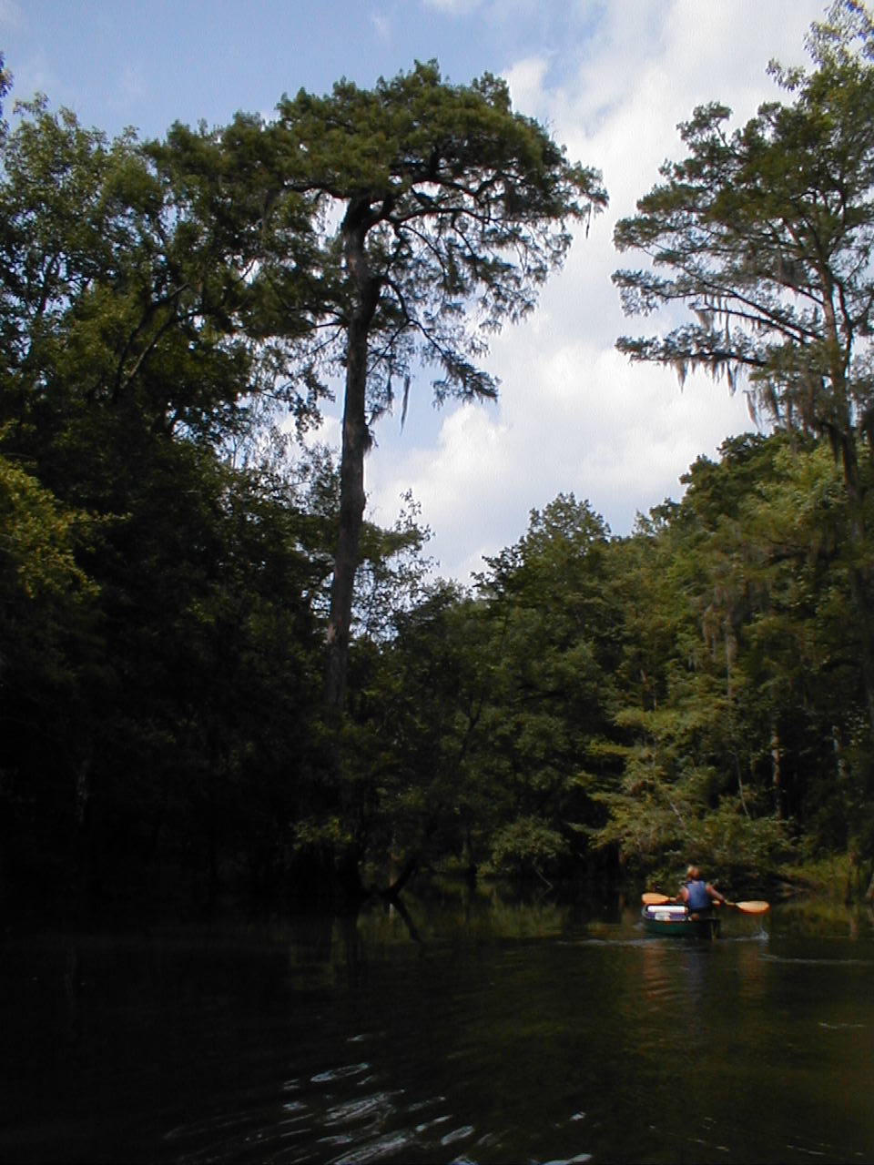 Consejos para la mejor experiencia en Alabama Scenic River Trail - 11
