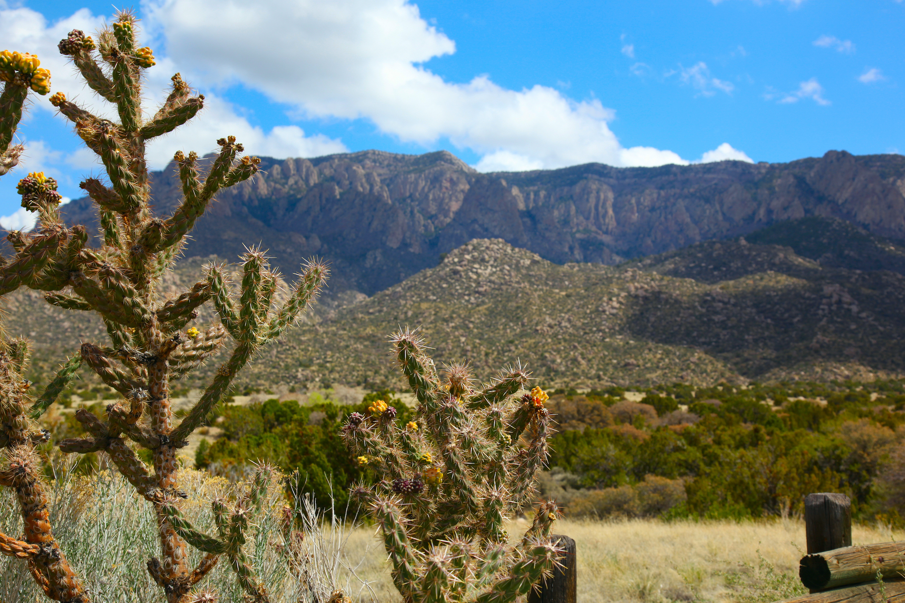 10 mejores caminatas en magnífico Nuevo México - 17