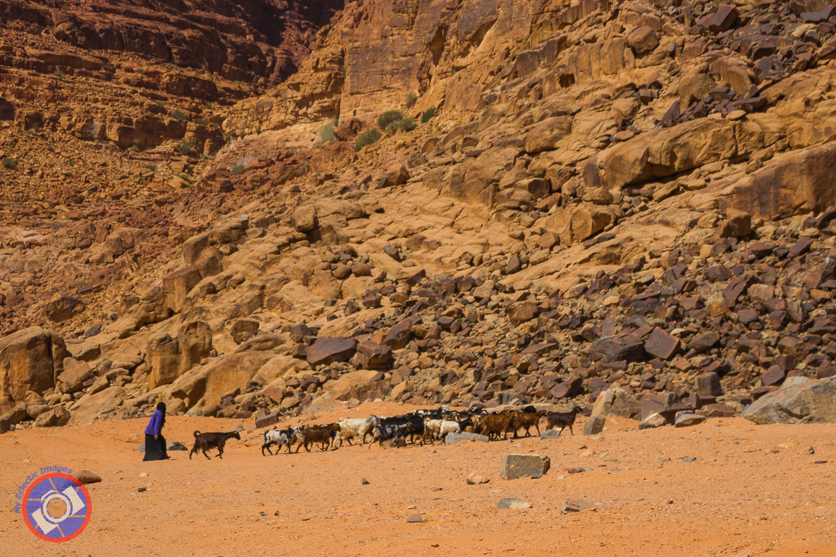 7 razones para visitar el ron Wadi Spectacular - 7