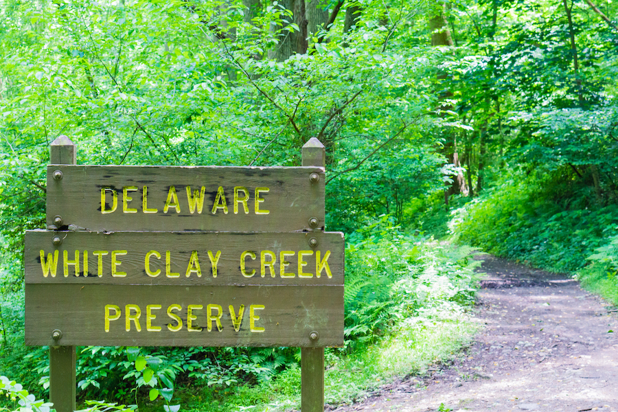 8 mejores caminatas en el pintoresco Delaware - 11
