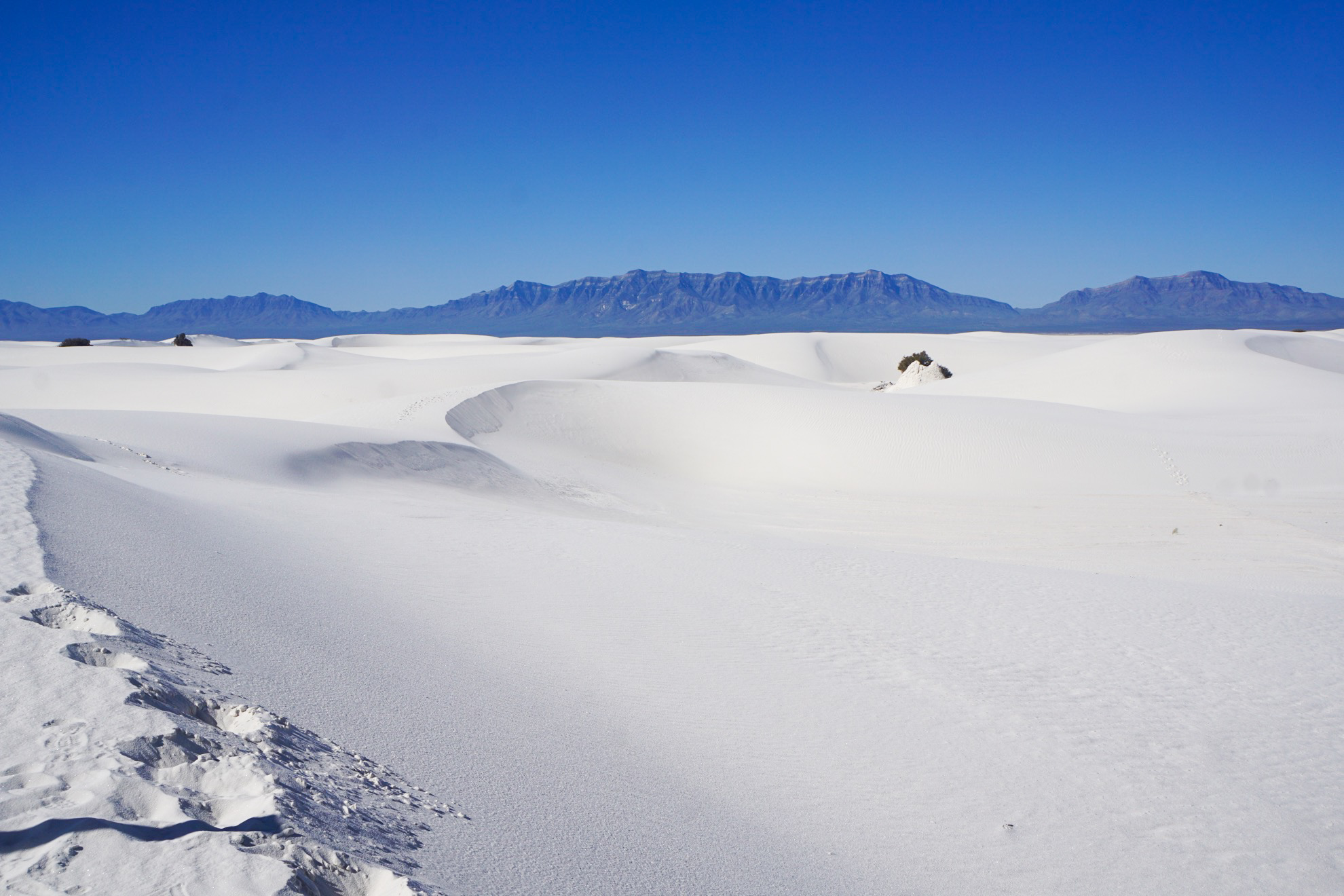 7 cosas que debe saber sobre el Parque Nacional White Sands - 483