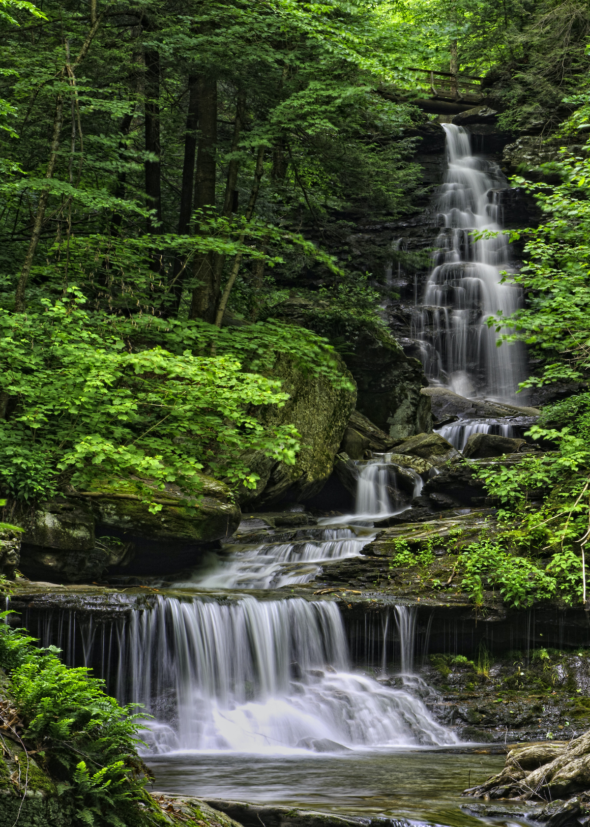 11 hermosos parques estatales para visitar en Pensilvania - 19
