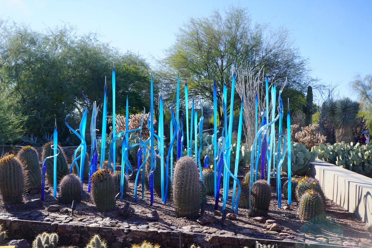 Mis 8 piezas de arte de vidrio Chihuly favoritas en el jardín botánico Desert de Phoenix - 331