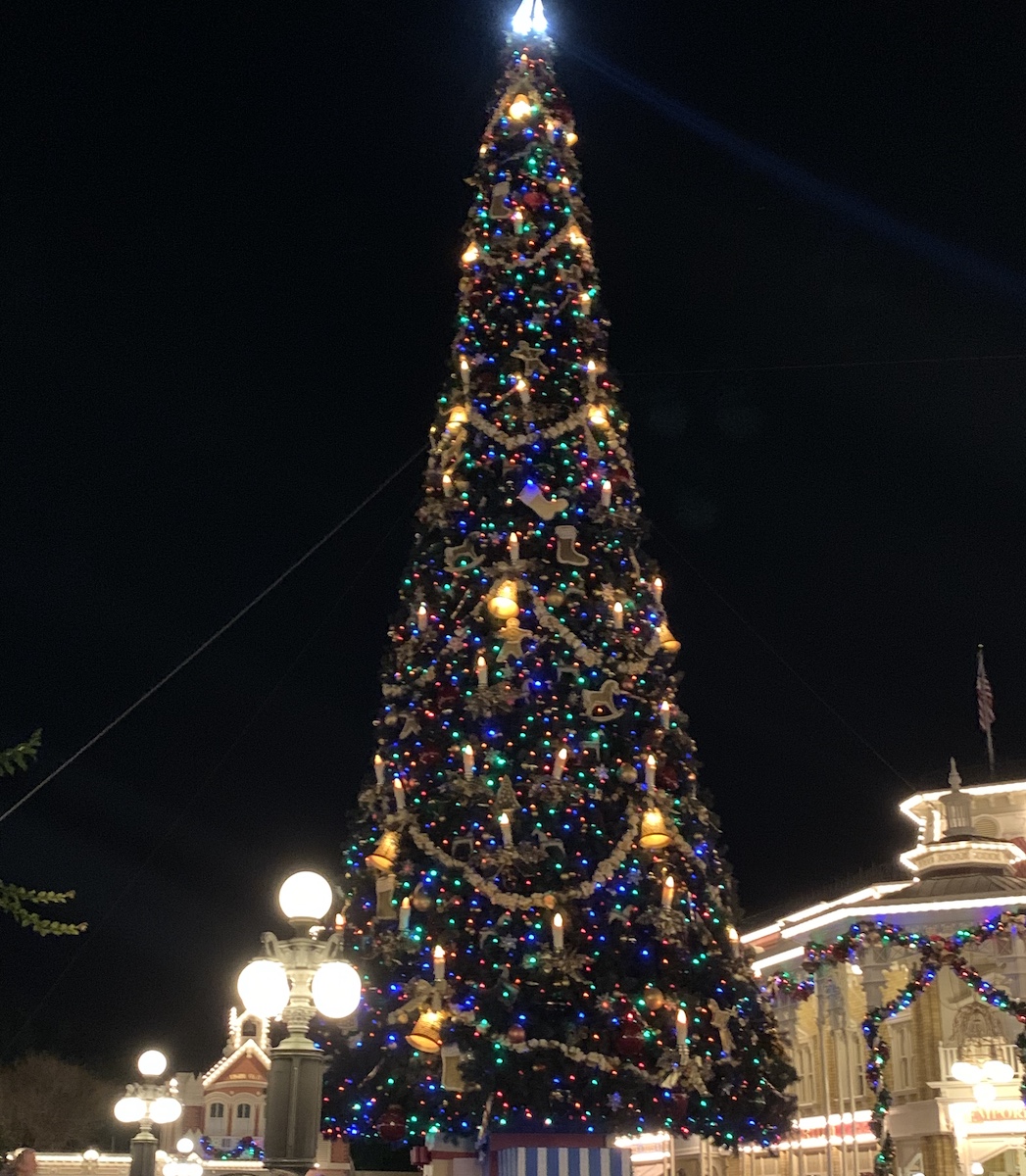 13 decoraciones navideñas que deben ver en Disney World esta temporada - 133
