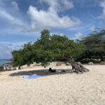 9 Aventuras al aire libre favoritas en Sunny Aruba