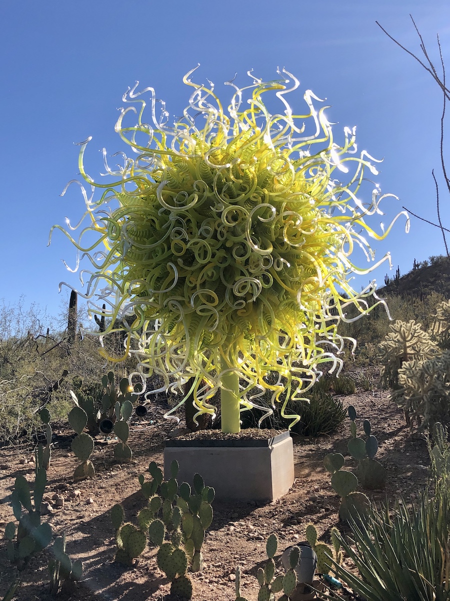 Mis 8 piezas de arte de vidrio Chihuly favoritas en el jardín botánico Desert de Phoenix - 7