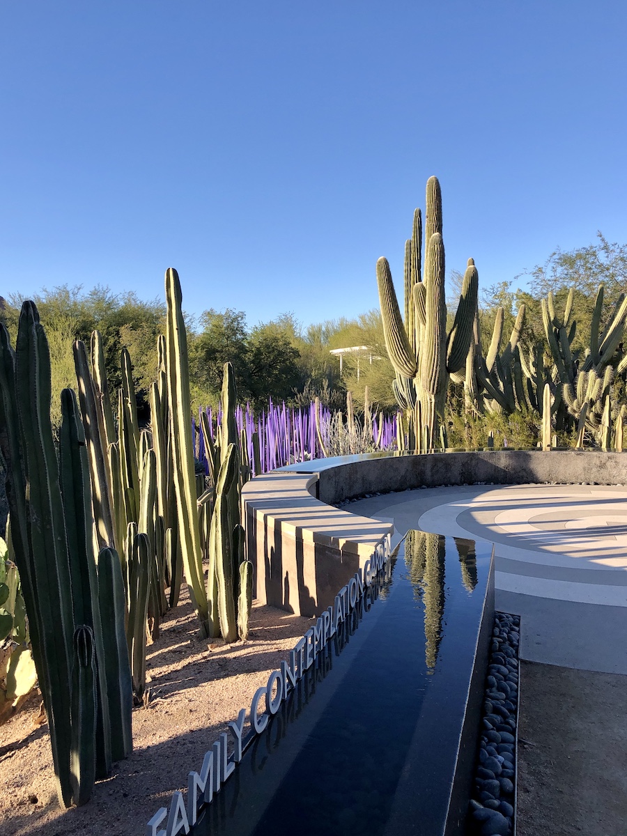 Mis 8 piezas de arte de vidrio Chihuly favoritas en el jardín botánico Desert de Phoenix - 9