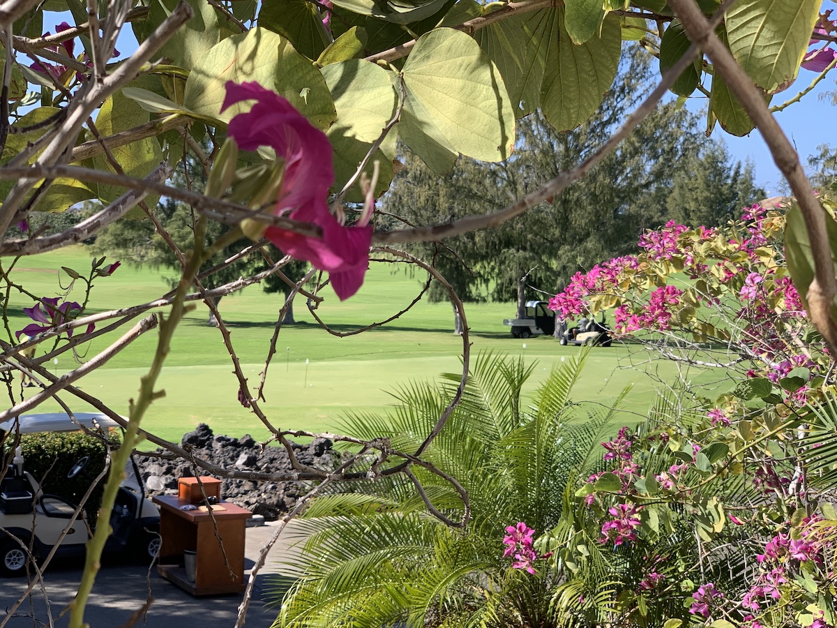 9 mejores lugares para jugar al golf en Hawaii - 11