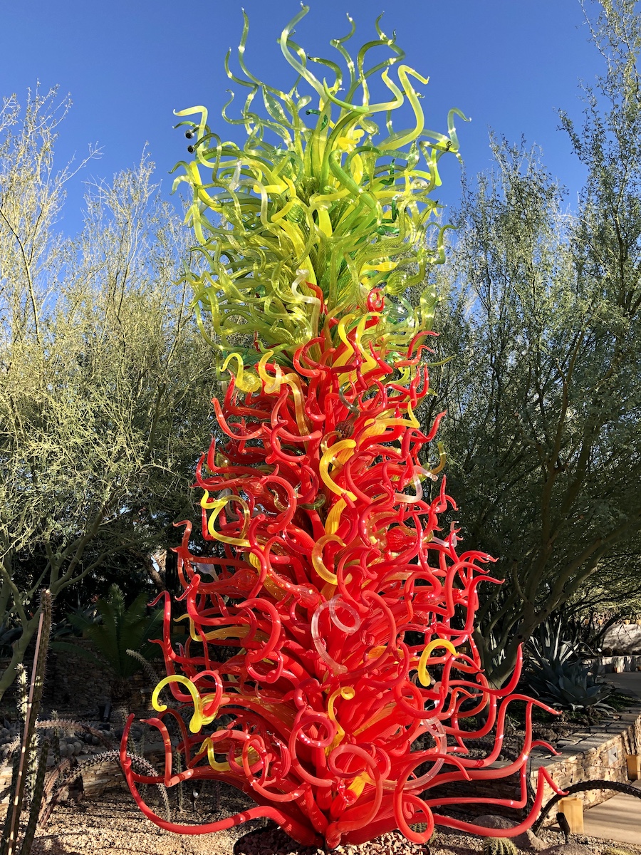 Mis 8 piezas de arte de vidrio Chihuly favoritas en el jardín botánico Desert de Phoenix - 11