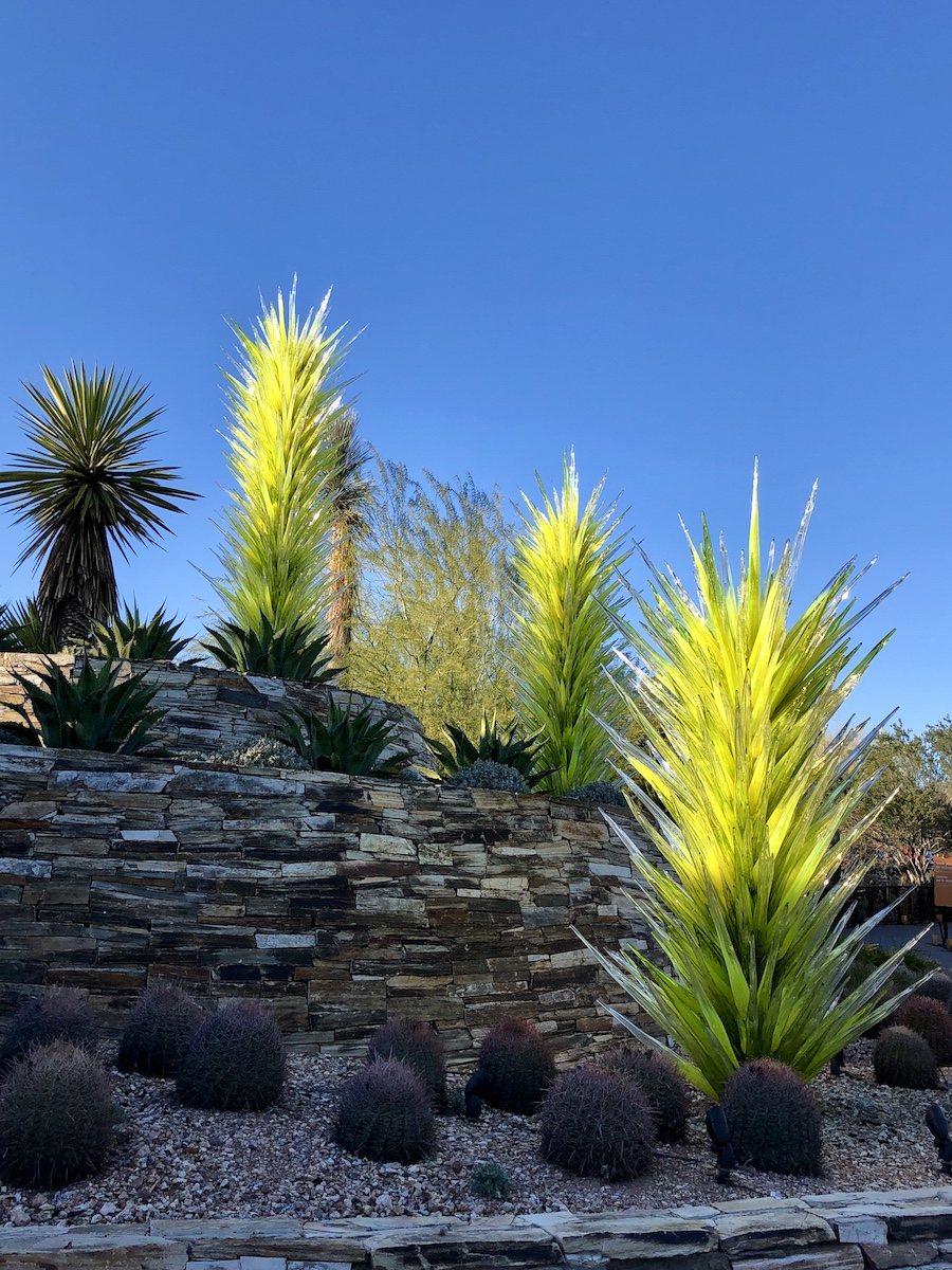 Mis 8 piezas de arte de vidrio Chihuly favoritas en el jardín botánico Desert de Phoenix - 15