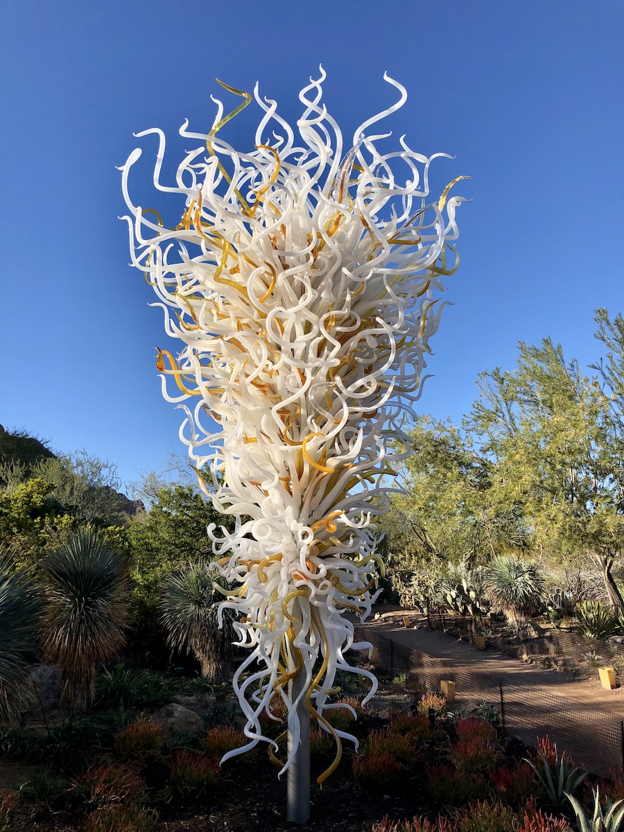 Mis 8 piezas de arte de vidrio Chihuly favoritas en el jardín botánico Desert de Phoenix - 17