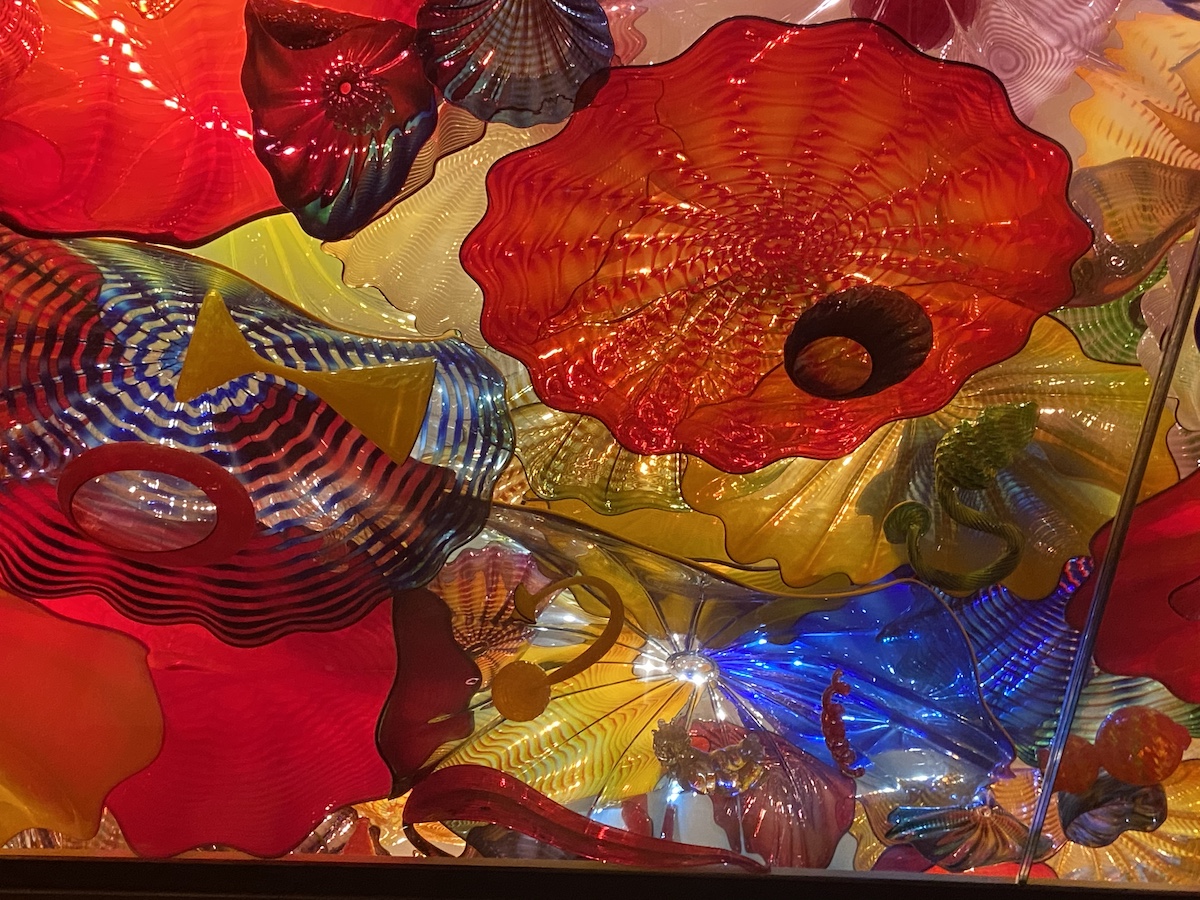4 mejores cosas para ver en Chihuly Garden and Glass - 9