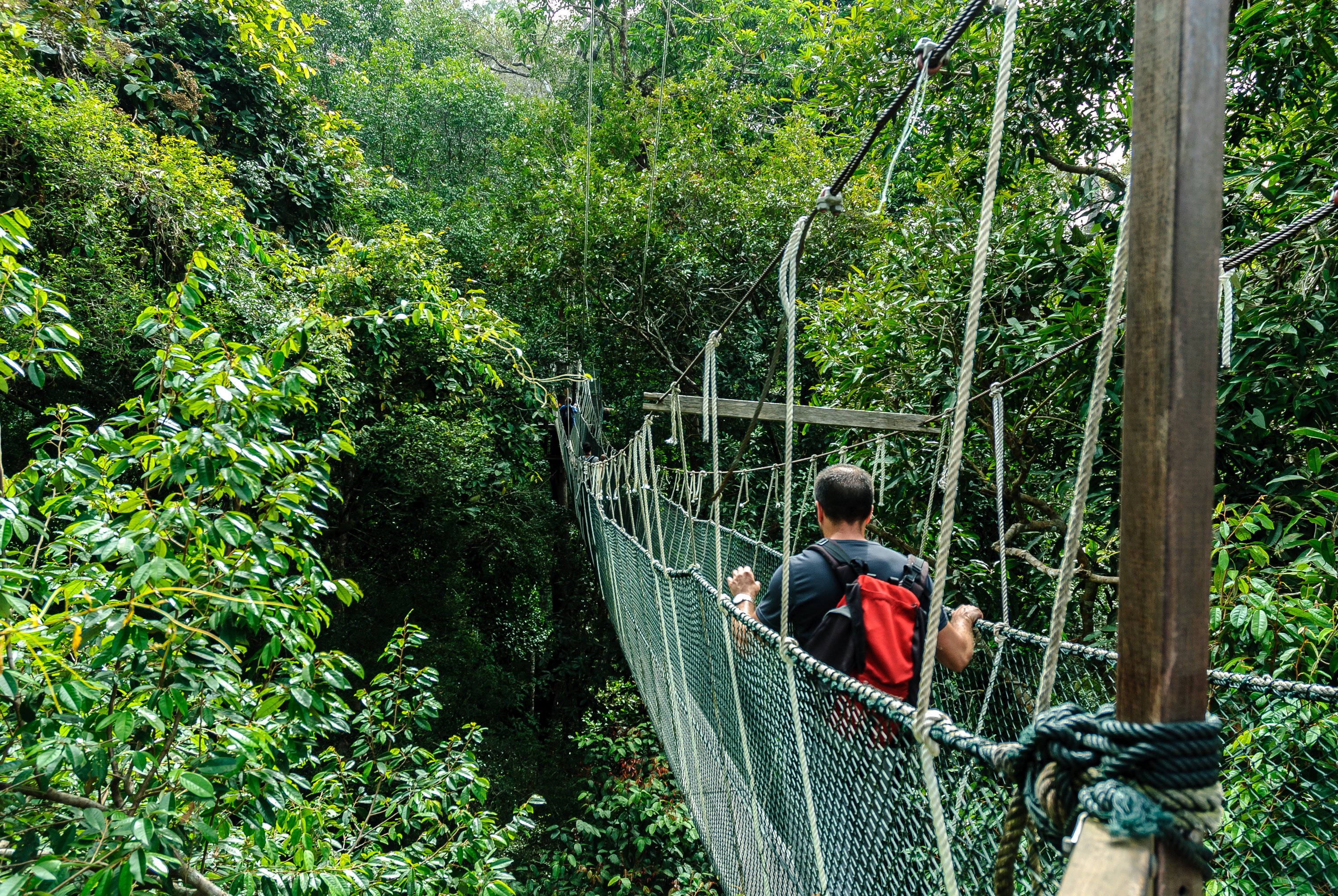 Las 5 mejores aventuras de la jungla en todo el mundo | Esta web - 13