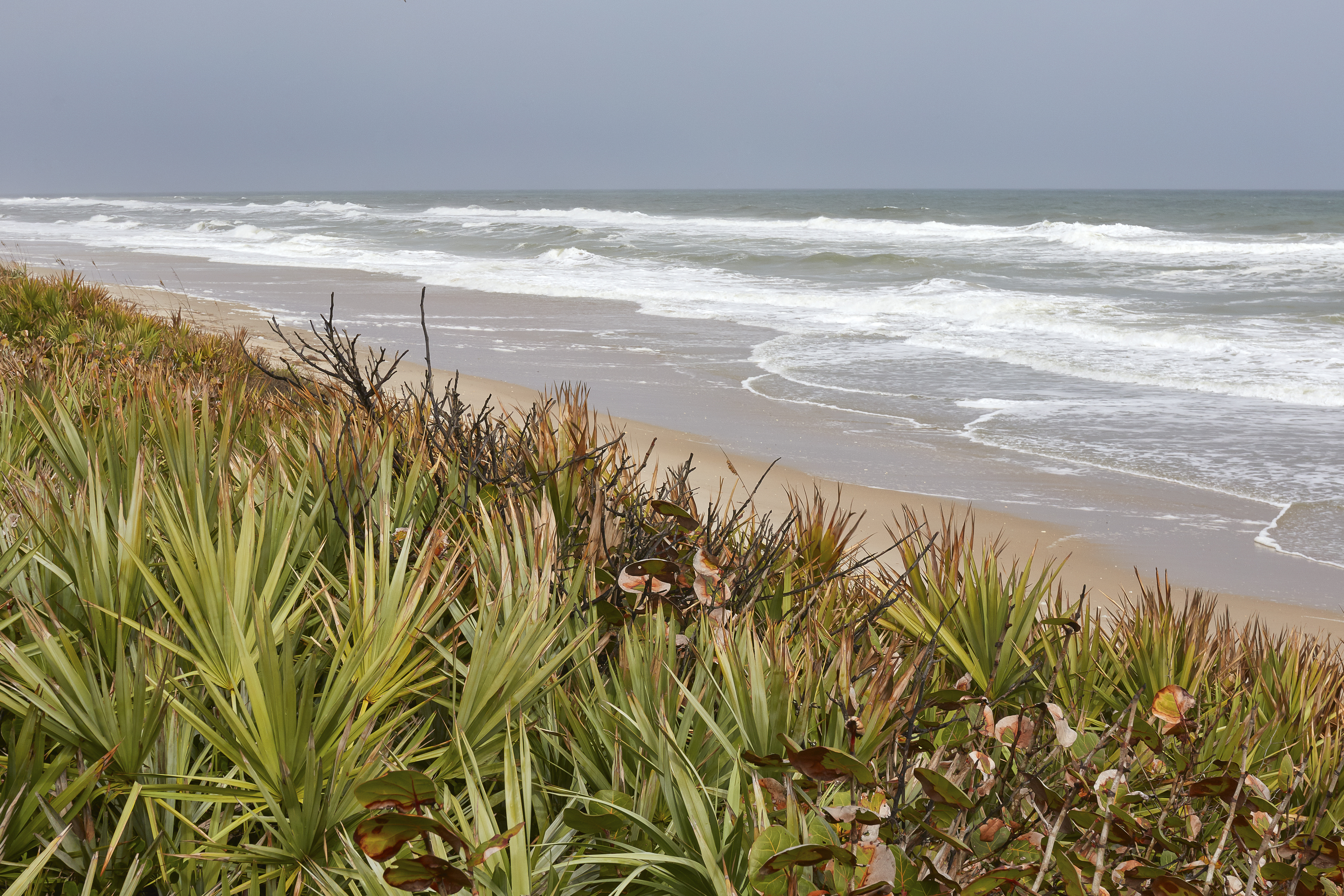 Las 15 playas menos concretadas en los EE. UU. | Esta web - 27