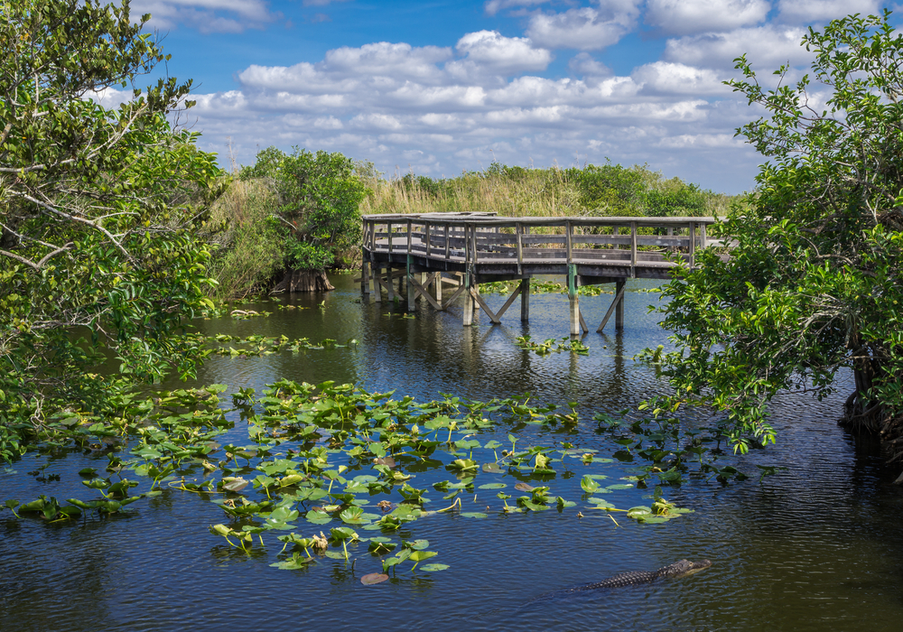 7 INCREÍBLES parques nacionales y conservas para visitar en el sur de Florida - 213