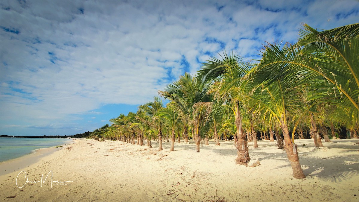 9 razones fantásticas para visitar Hidden Beach Au Naturel Resort - 7